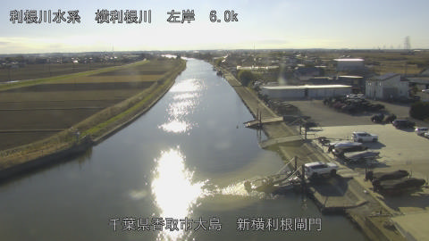 yoko2025121814_image