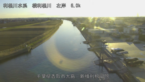 yoko2025121816_image