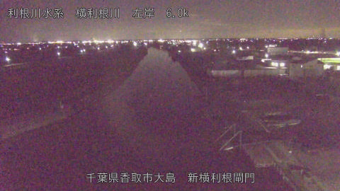 yoko2025121819_image