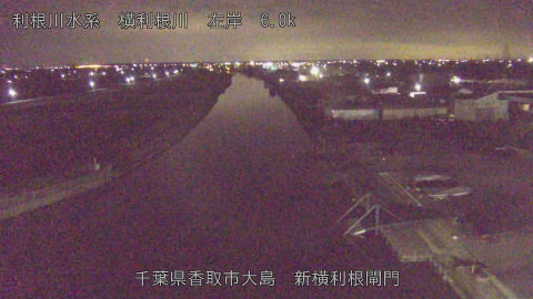 yoko2025121906_image