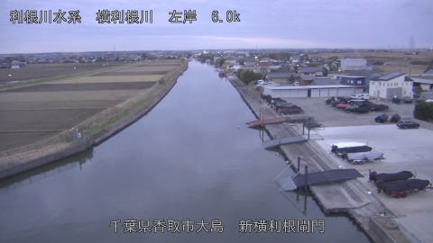 yoko2025121907_image