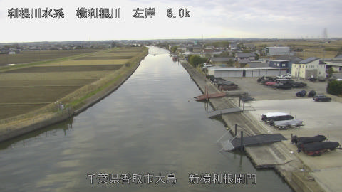 yoko2025121908_image