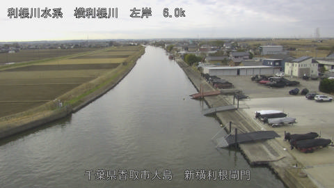 yoko2025121909_image