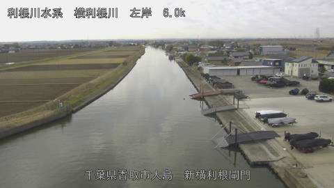 yoko2025121910_image