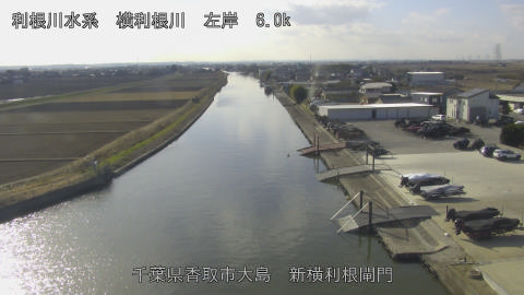 yoko2025121912_image