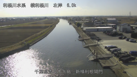 yoko2025121913_image