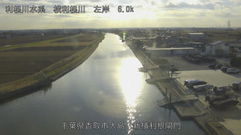 yoko2025121915_image