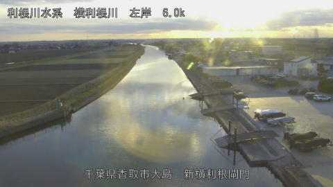 yoko2025121916_image