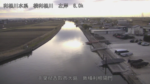 yoko2025121917_image