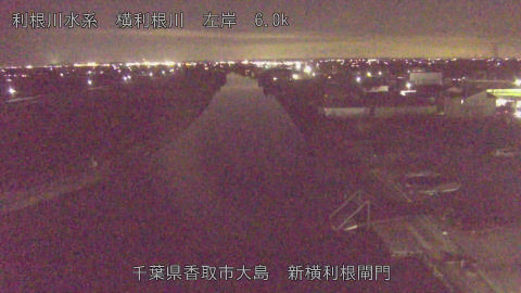 yoko2025121919_image