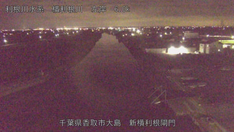 yoko2025121920_image