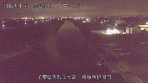 yoko2025121923_image