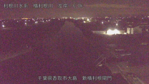 yoko2025122005_image