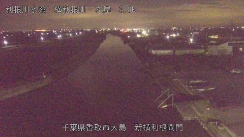 yoko2025122006_image