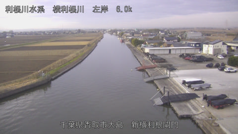 yoko2025122007_image