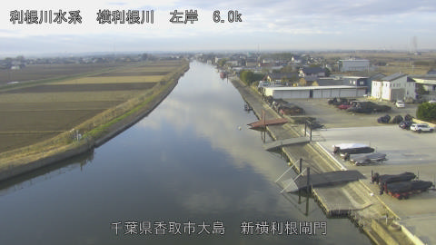 yoko2025122008_image