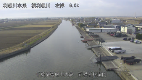 yoko2025122009_image