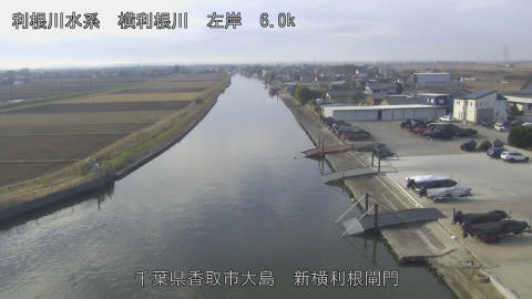 yoko2025122010_image