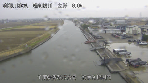 yoko2025122012_image