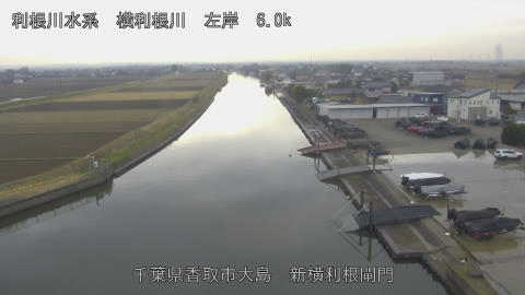 yoko2025122013_image