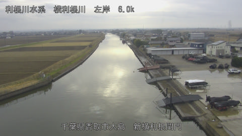 yoko2025122014_image