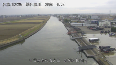 yoko2025122015_image