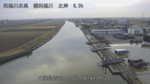 yoko2025122016_image