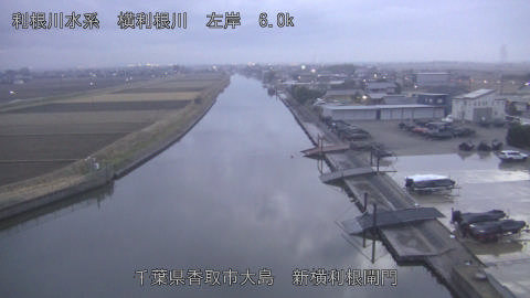 yoko2025122017_image