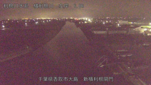 yoko2025122018_image