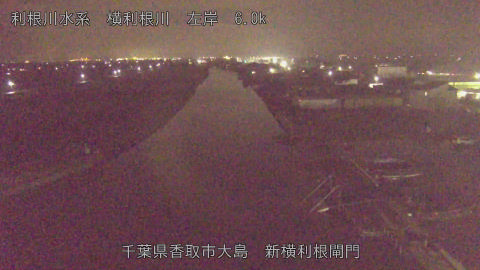 yoko2025122019_image