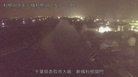 yoko2025122021_image