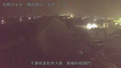 yoko2025122022_image