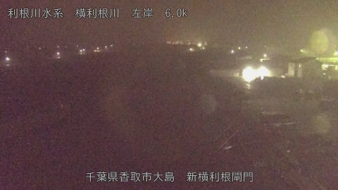 yoko2025122023_image