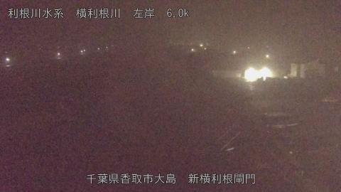 yoko2025122105_image