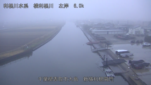 yoko2025122107_image