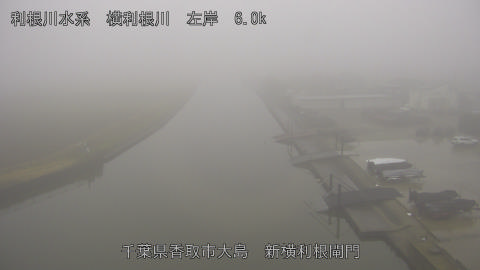 yoko2025122108_image