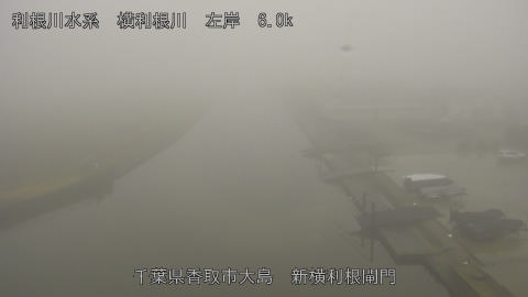 yoko2025122109_image