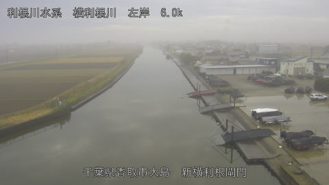 yoko2025122110_image