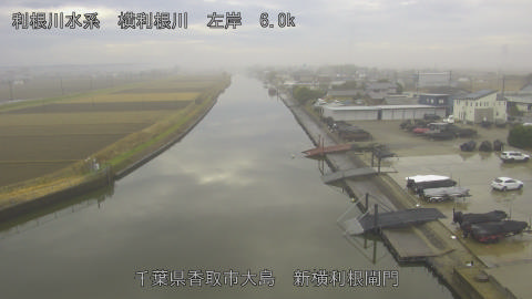 yoko2025122111_image