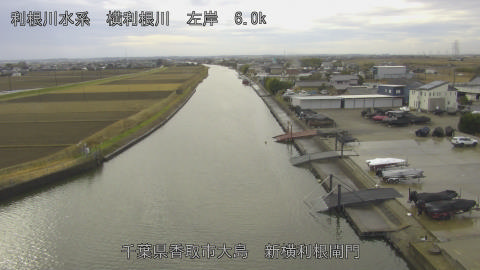 yoko2025122112_image