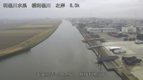 yoko2025122113_image