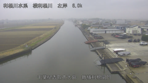 yoko2025122114_image