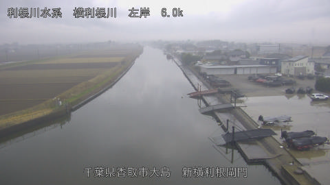 yoko2025122115_image