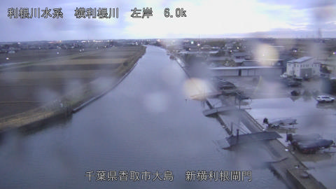 yoko2025122117_image