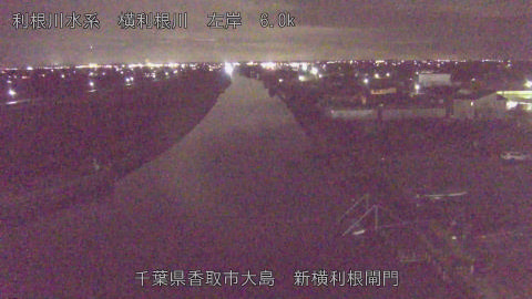 yoko2025122119_image