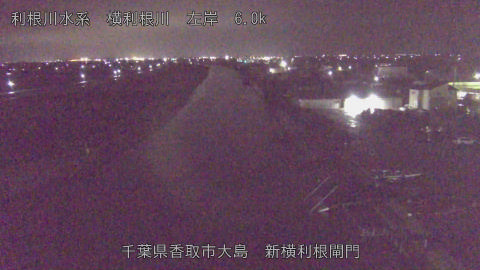 yoko2025122123_image