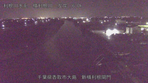 yoko2025122200_image