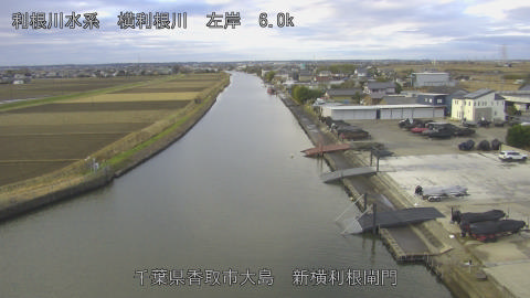 yoko2025122208_image