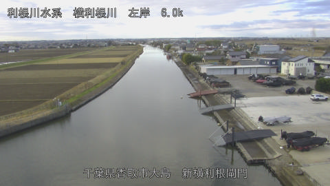 yoko2025122209_image