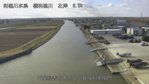 yoko2025122211_image